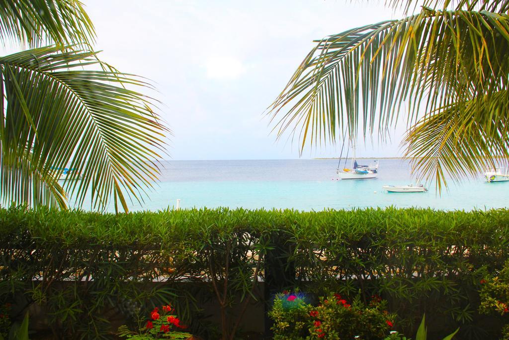 Bonaire Seaside Apartments Esterno foto