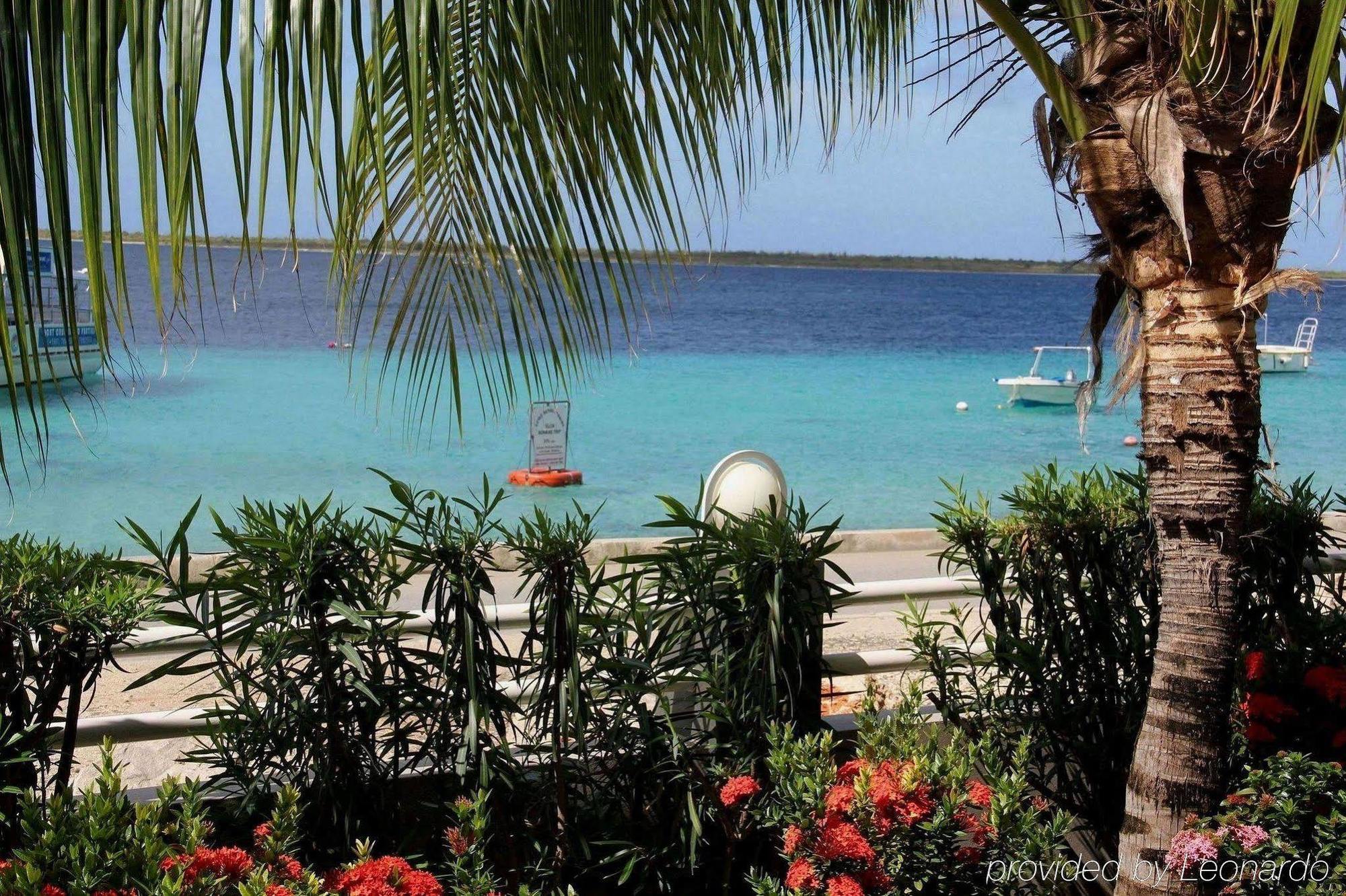 Bonaire Seaside Apartments Servizi foto